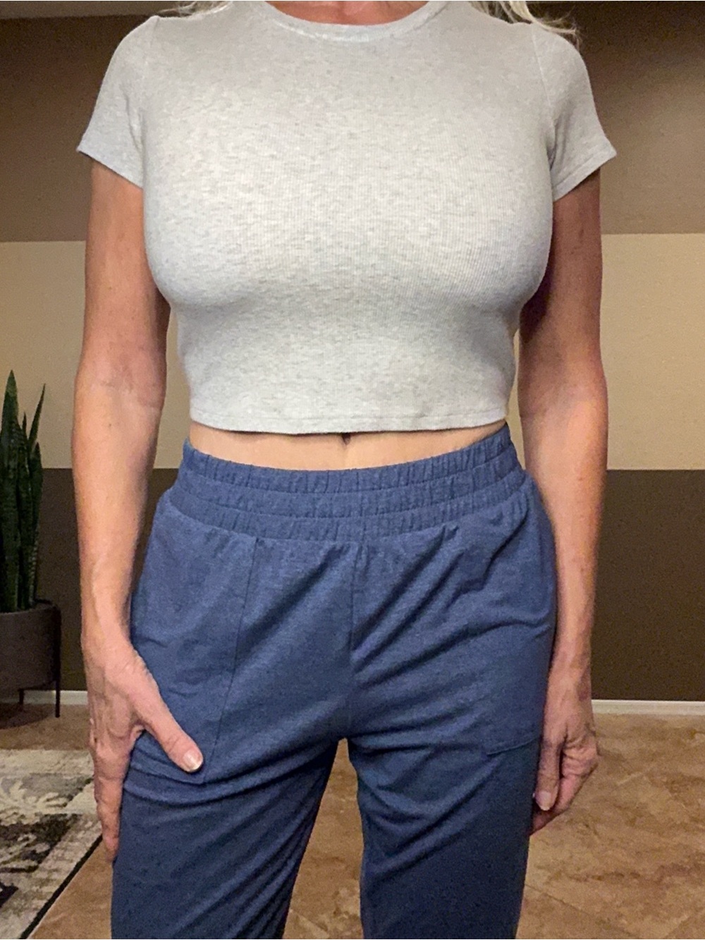 Garage Grey Ribbed Cropped Tee large - Picture 3 of 9